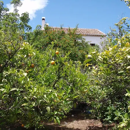 Apartamento Casa De La Fuente *